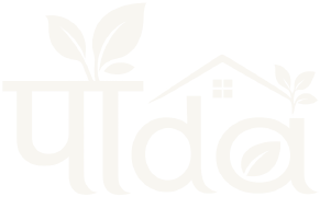 Pauda