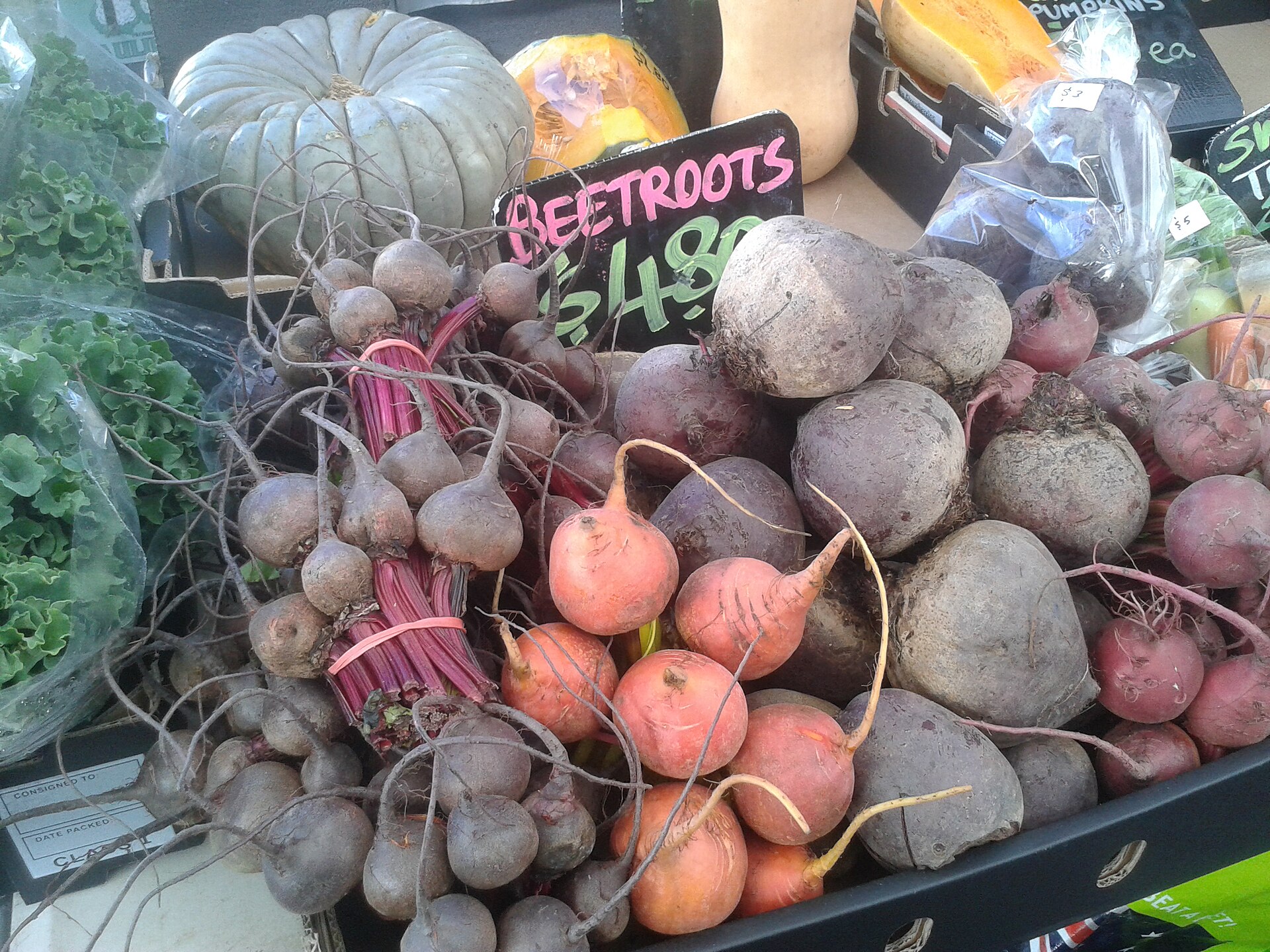Beetroot Seeds — Open Pollinated — Beta vulgaris