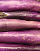 Brinjal Seeds — Purple Long — Solanum melongena
