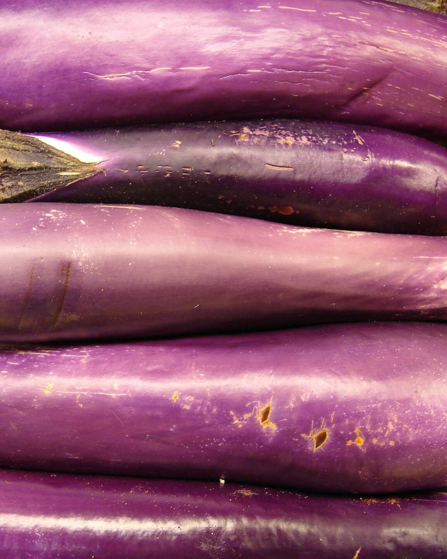 Brinjal Seeds — Purple Long — Solanum melongena