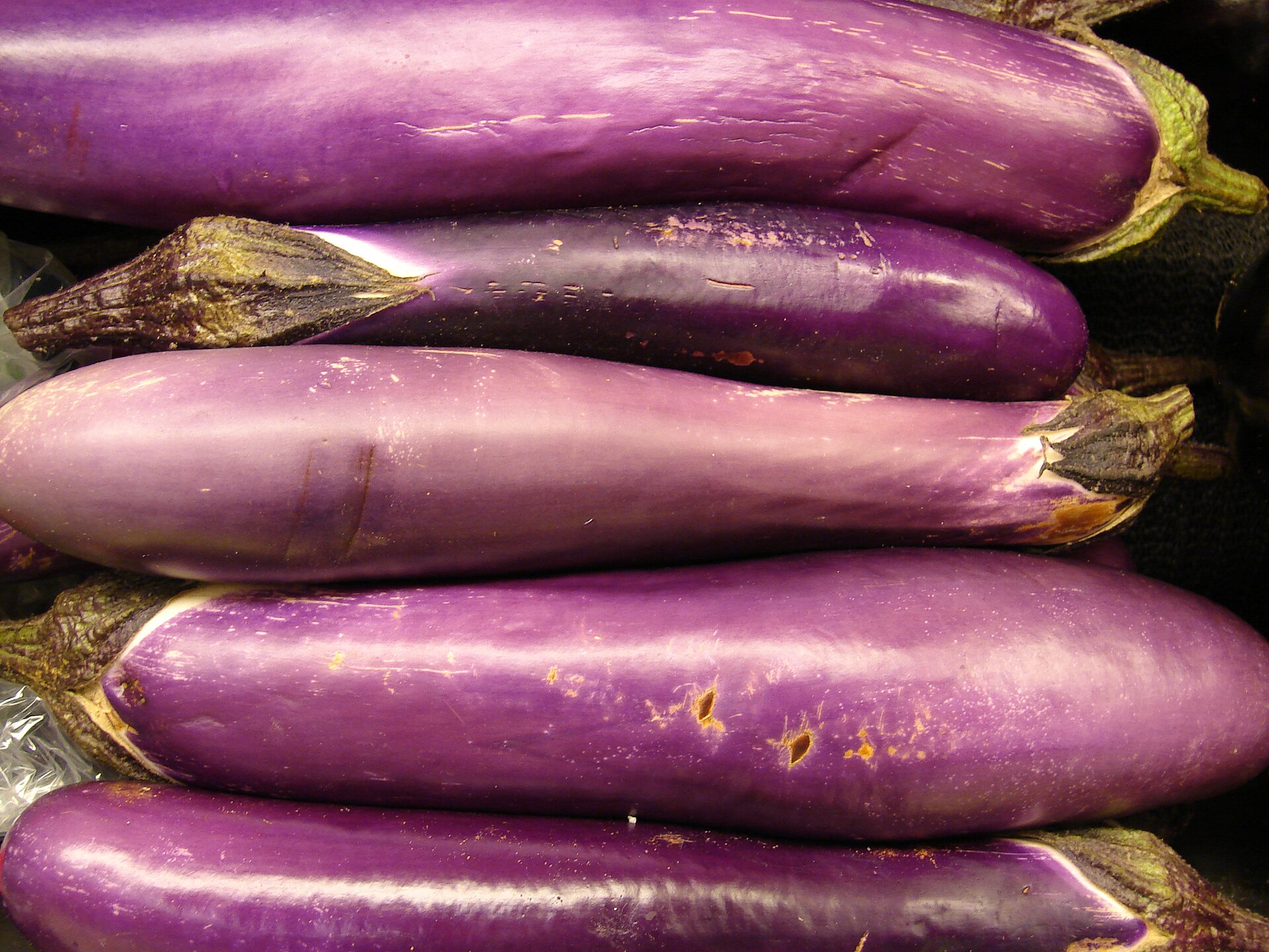 Brinjal Seeds — Purple Long — Solanum melongena
