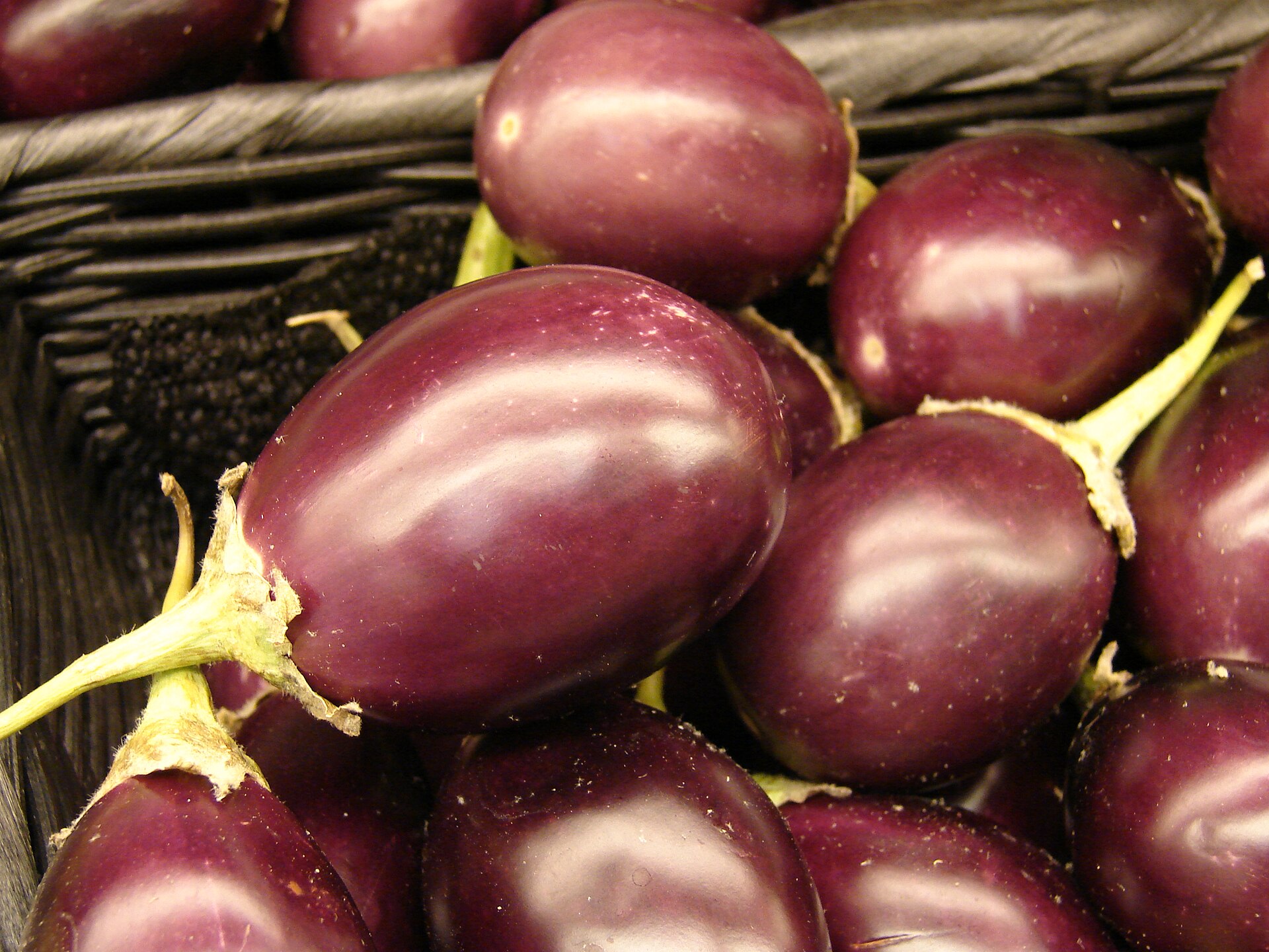 Brinjal Seeds — Round — Solanum melongena