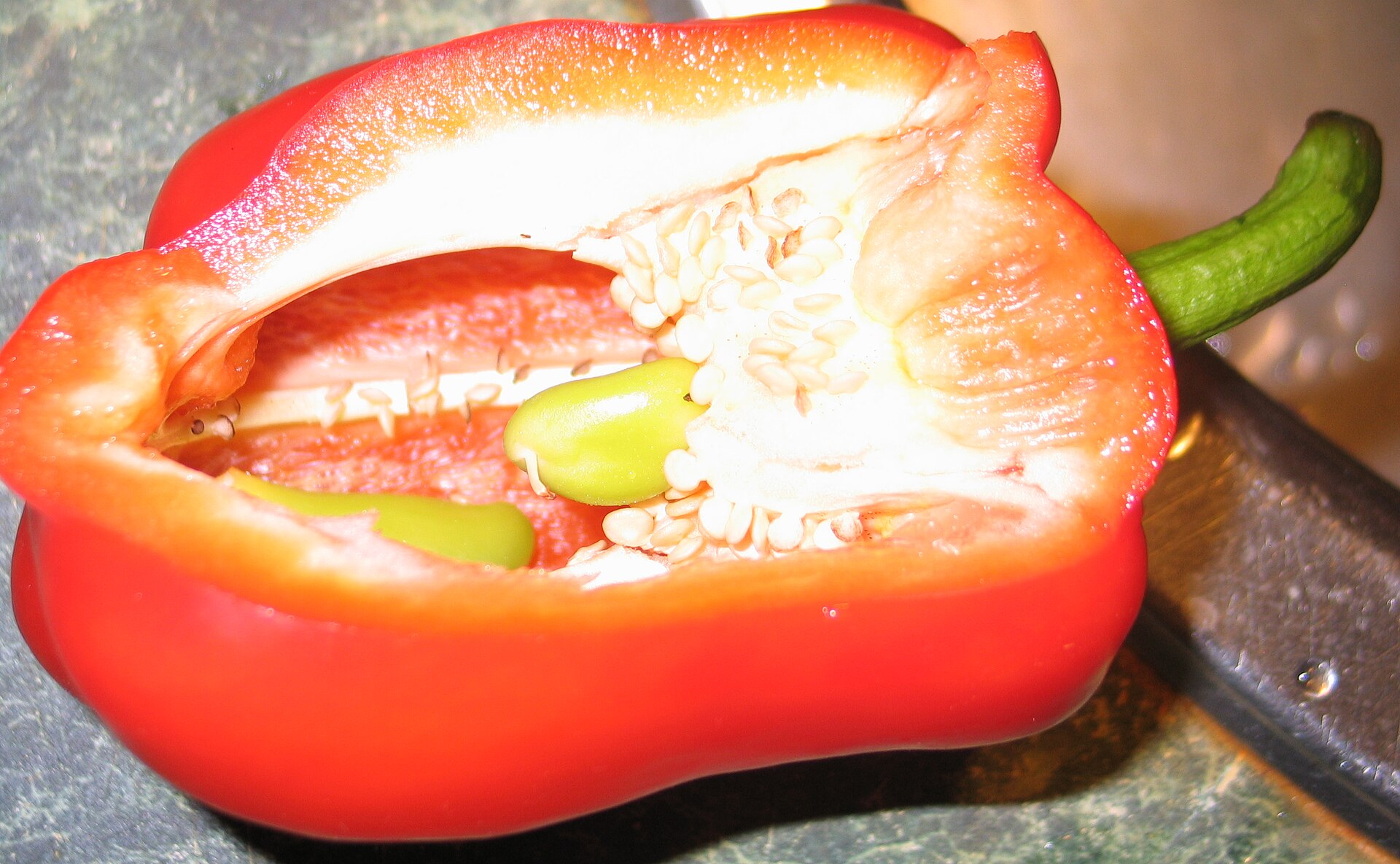 Capsicum Seeds — Capsicum annuum var. grossum