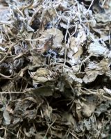 Fenugreek Seeds — Trigonella foenum-graecum