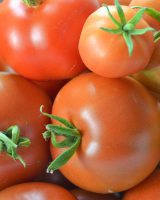 Hybrid Tomato Seeds — Solanum lycopersicum