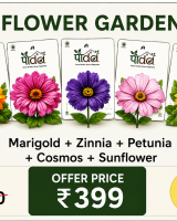 Flower Garden Combo