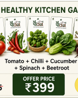 Healthy Kitchen Garden Combo