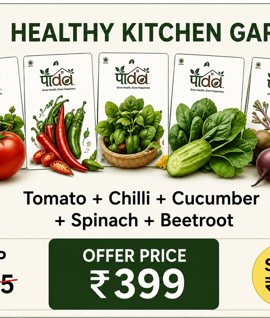 Healthy Kitchen Garden Combo