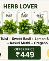 Herb Lover Combo