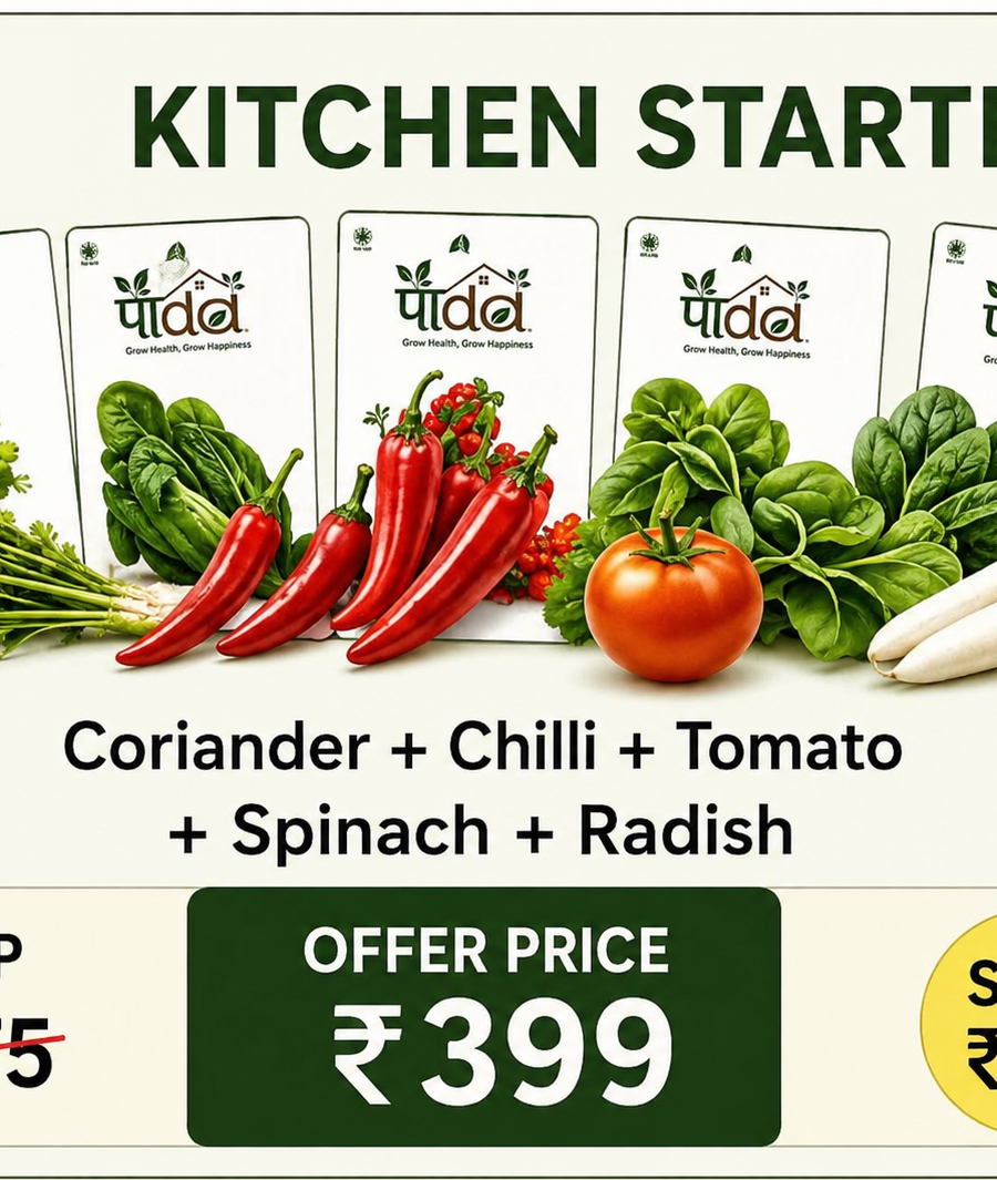 Kitchen Starter Combo