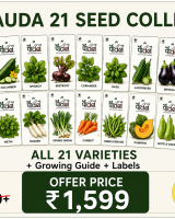 Pauda 21 Seed Collection