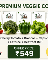 Premium Veggie Combo