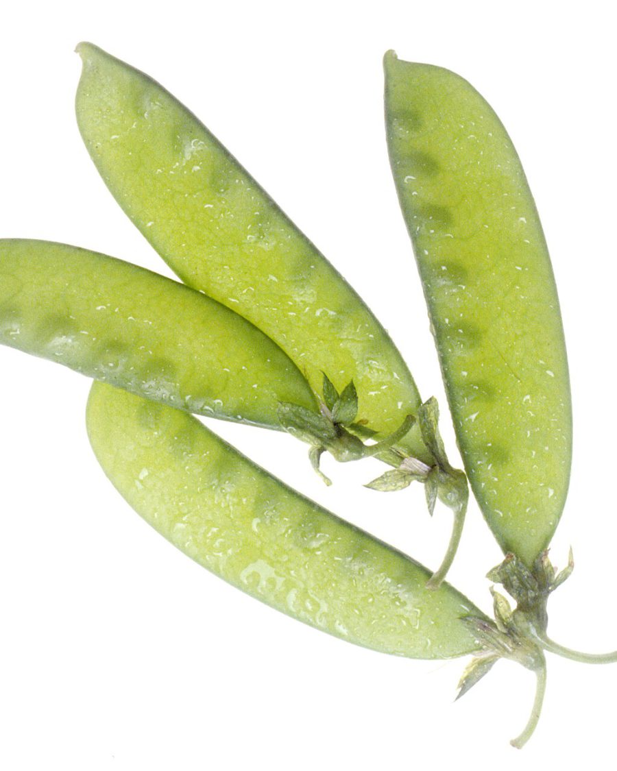 Peas Seeds — Pisum sativum
