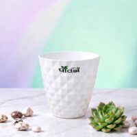 Dorian Pot