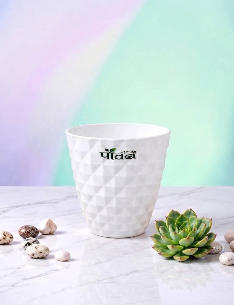 Dorian Pot