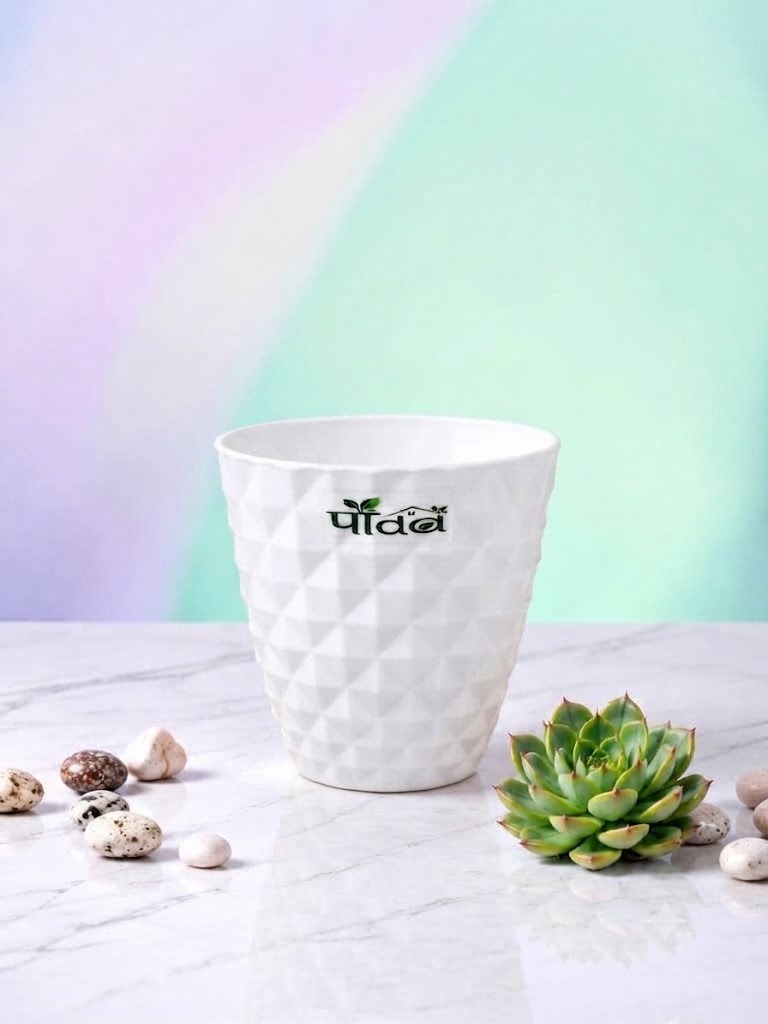 Dorian Pot