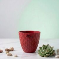 Dorian Pot — Maroon