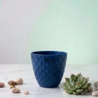 Dorian Pot — Navy