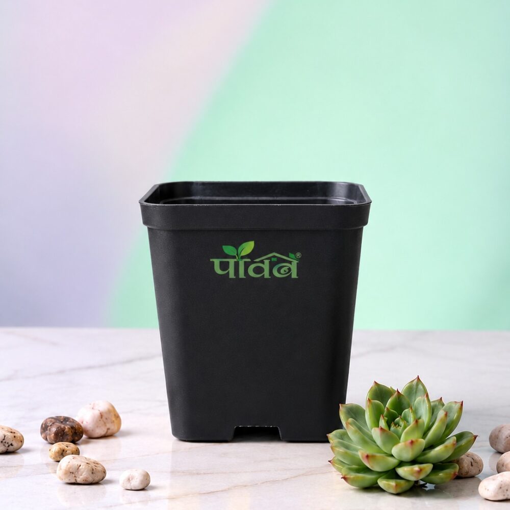 Linea Pot