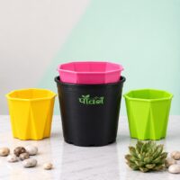 Nexa Pot