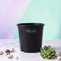 Nexa Pot