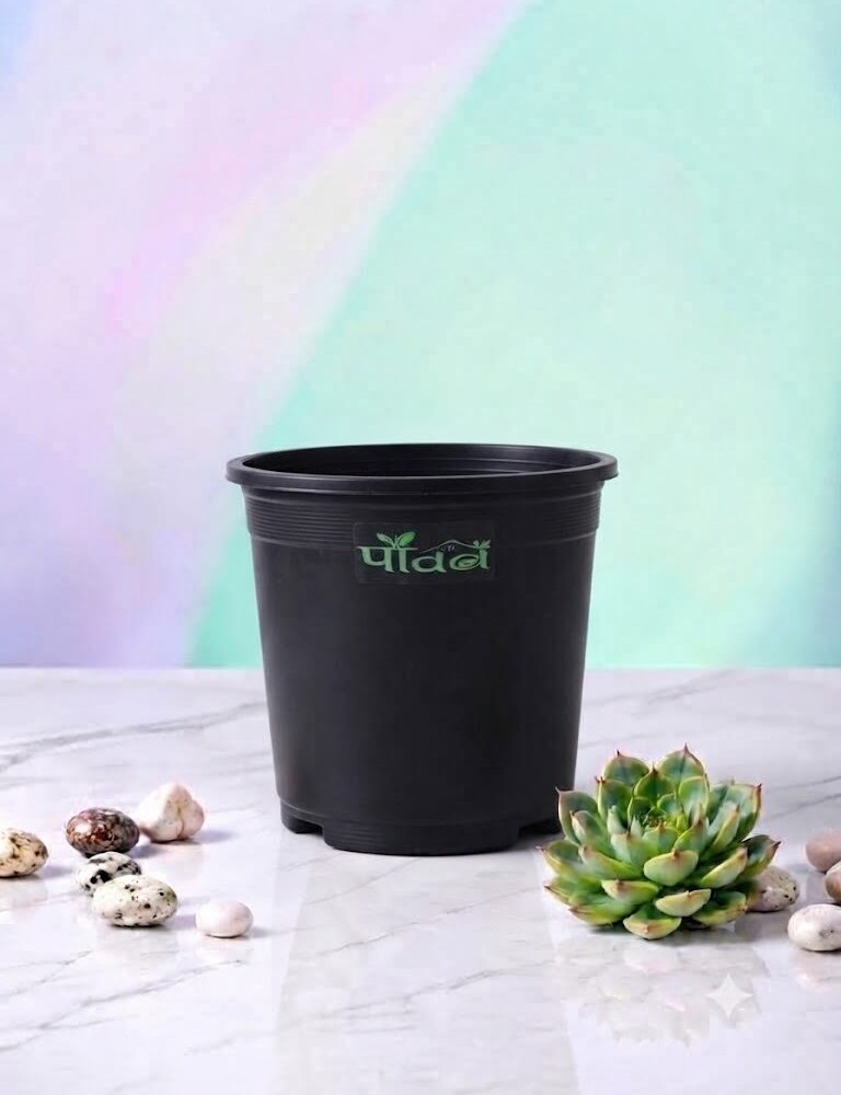 Nexa Pot