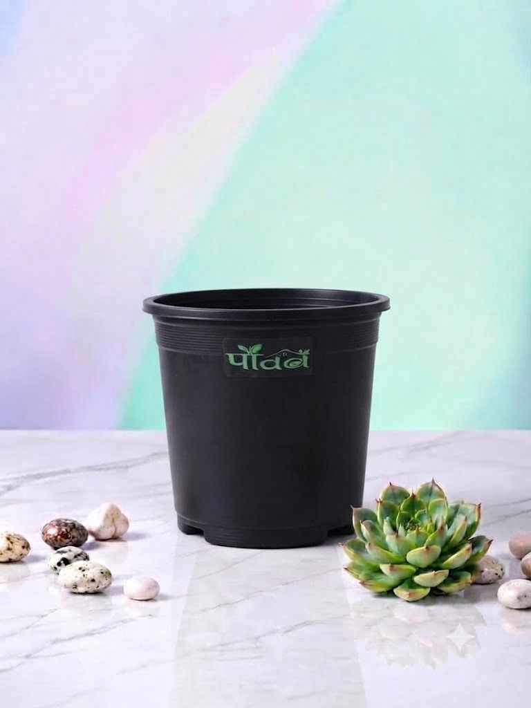 Nexa Pot