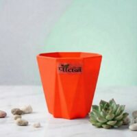 Vetran Pot — Vermilion