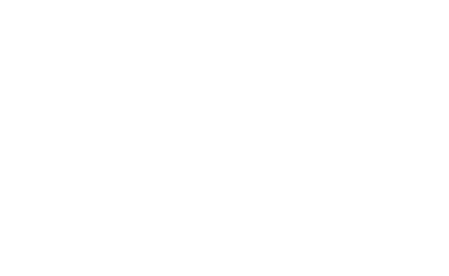 Pauda